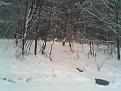 Нажмите на изображение для увеличения.

Название:	IMG0015A.jpg
Просмотров:	1167
Размер:	28.0 Кб
ID:	3548929