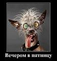 Нажмите на изображение для увеличения.

Название:	f_a239898b783195a95c6065b6be1b06494c861ef0.jpg
Просмотров:	287
Размер:	38.3 Кб
ID:	3549015