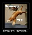Нажмите на изображение для увеличения.

Название:	2.jpg
Просмотров:	317
Размер:	38.7 Кб
ID:	3549090