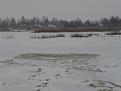 Нажмите на изображение для увеличения.

Название:	SAM_2943.jpg
Просмотров:	1060
Размер:	166.8 Кб
ID:	3549099