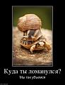 Нажмите на изображение для увеличения.

Название:	default.jpeg
Просмотров:	253
Размер:	27.8 Кб
ID:	3549313