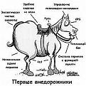 Нажмите на изображение для увеличения.

Название:	s3img_161461572_15078_1.jpg
Просмотров:	273
Размер:	50.8 Кб
ID:	3549735
