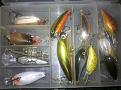 Нажмите на изображение для увеличения.

Название:	Trout_Box.jpg
Просмотров:	547
Размер:	93.2 Кб
ID:	3550075