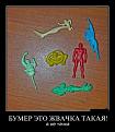Нажмите на изображение для увеличения.

Название:	getImage (2).jpg
Просмотров:	437
Размер:	55.2 Кб
ID:	3550227