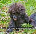 Нажмите на изображение для увеличения.

Название:	10.jpg
Просмотров:	1585
Размер:	71.4 Кб
ID:	3550385