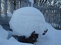 Нажмите на изображение для увеличения.

Название:	DSC08785.jpg
Просмотров:	446
Размер:	73.9 Кб
ID:	3550776
