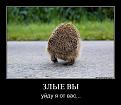 Нажмите на изображение для увеличения.

Название:	s3img_12398122_37987_0.jpg
Просмотров:	469
Размер:	44.8 Кб
ID:	3550789