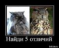 Нажмите на изображение для увеличения.

Название:	getImage11.jpg
Просмотров:	278
Размер:	37.1 Кб
ID:	3551065