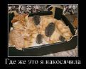 Нажмите на изображение для увеличения.

Название:	67221933_gde-zhe-eto-ya-nakosyachila.jpg
Просмотров:	310
Размер:	140.3 Кб
ID:	3551862