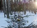 Нажмите на изображение для увеличения.

Название:	SDC11405.jpg
Просмотров:	415
Размер:	202.9 Кб
ID:	3551976