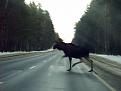 Нажмите на изображение для увеличения.

Название:	1.JPG
Просмотров:	430
Размер:	64.0 Кб
ID:	3552347