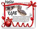 Нажмите на изображение для увеличения.

Название:	13.jpg
Просмотров:	345
Размер:	55.4 Кб
ID:	3552551