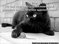Нажмите на изображение для увеличения.

Название:	ce3defbb1adcd195968db411d96_prev.jpg
Просмотров:	319
Размер:	39.7 Кб
ID:	3552553