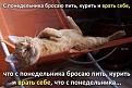 Нажмите на изображение для увеличения.

Название:	f_c627aa65265ecebe6f7797440c5b6d3bfa5a5e45.jpg
Просмотров:	279
Размер:	28.6 Кб
ID:	3553225