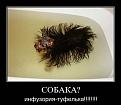 Нажмите на изображение для увеличения.

Название:	getImage3.jpg
Просмотров:	1299
Размер:	27.6 Кб
ID:	3553954