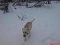Нажмите на изображение для увеличения.

Название:	DSC00413.jpg
Просмотров:	342
Размер:	177.8 Кб
ID:	3554699