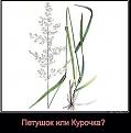 Нажмите на изображение для увеличения.

Название:	getImage (11).jpg
Просмотров:	289
Размер:	27.2 Кб
ID:	3554922