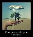 Нажмите на изображение для увеличения.

Название:	s3img_105461000_189_1.jpg
Просмотров:	307
Размер:	46.8 Кб
ID:	3554947