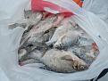 Нажмите на изображение для увеличения.

Название:	DSCN0872.jpg
Просмотров:	833
Размер:	80.8 Кб
ID:	3555300