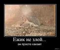Нажмите на изображение для увеличения.

Название:	1358619208_436651658.jpg
Просмотров:	260
Размер:	44.2 Кб
ID:	3555824