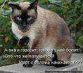 Нажмите на изображение для увеличения.

Название:	Мартовский Кот.jpg
Просмотров:	238
Размер:	78.2 Кб
ID:	3556384