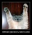 Нажмите на изображение для увеличения.

Название:	3080617.JPG
Просмотров:	308
Размер:	64.6 Кб
ID:	3556389