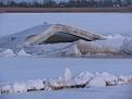 Нажмите на изображение для увеличения.

Название:	IMG_5292.JPG
Просмотров:	960
Размер:	153.2 Кб
ID:	3556666