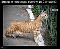 Нажмите на изображение для увеличения.

Название:	f_af3575c21a130353f3cfc04d702a9afaf0e5aba0.jpg
Просмотров:	312
Размер:	63.3 Кб
ID:	3556711