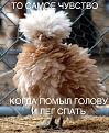 Нажмите на изображение для увеличения.

Название:	1e97c7aec7f37f7f5fbe269513fd7da8ecfdc6bd.jpg
Просмотров:	277
Размер:	122.8 Кб
ID:	3556791