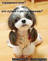 Нажмите на изображение для увеличения.

Название:	.юбюэ.jpg
Просмотров:	264
Размер:	20.8 Кб
ID:	3556905