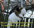 Нажмите на изображение для увеличения.

Название:	4efcfada9d37.jpg
Просмотров:	342
Размер:	99.0 Кб
ID:	3557309