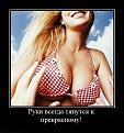 Нажмите на изображение для увеличения.

Название:	13.jpg
Просмотров:	578
Размер:	100.1 Кб
ID:	3557374