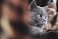Нажмите на изображение для увеличения.

Название:	IMG_8377.jpg
Просмотров:	292
Размер:	177.1 Кб
ID:	3557530