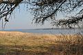 Нажмите на изображение для увеличения.

Название:	DSC_0108.jpg
Просмотров:	730
Размер:	211.8 Кб
ID:	3558452