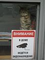 Нажмите на изображение для увеличения.

Название:	getImage ить.jpg
Просмотров:	270
Размер:	19.9 Кб
ID:	3558624