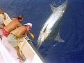 Нажмите на изображение для увеличения.

Название:	1000lb-marlin.jpg
Просмотров:	280
Размер:	43.8 Кб
ID:	3559292