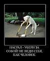Нажмите на изображение для увеличения.

Название:	насрал.jpg
Просмотров:	1425
Размер:	26.1 Кб
ID:	3559695