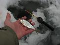 Нажмите на изображение для увеличения.

Название:	IMG_7127.jpg
Просмотров:	966
Размер:	64.1 Кб
ID:	3560214