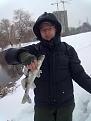 Нажмите на изображение для увеличения.

Название:	12022013081.jpg
Просмотров:	1028
Размер:	170.9 Кб
ID:	3560466