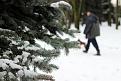Нажмите на изображение для увеличения.

Название:	IMG_0964.-1JPG.jpg
Просмотров:	355
Размер:	82.0 Кб
ID:	3560778