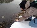 Нажмите на изображение для увеличения.

Название:	15022013275.jpg
Просмотров:	853
Размер:	194.7 Кб
ID:	3560914