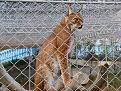 Нажмите на изображение для увеличения.

Название:	0_4ec4c_3e9ff958_L.jpg
Просмотров:	525
Размер:	85.2 Кб
ID:	3561081