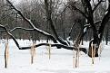 Нажмите на изображение для увеличения.

Название:	IMG_0973 -2копия.jpg
Просмотров:	557
Размер:	138.3 Кб
ID:	3561432