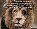 Нажмите на изображение для увеличения.

Название:	5.jpg
Просмотров:	1399
Размер:	78.0 Кб
ID:	3561931