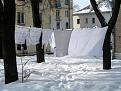 Нажмите на изображение для увеличения.

Название:	IMG_2968-001.jpg
Просмотров:	814
Размер:	99.5 Кб
ID:	3562230