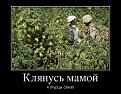 Нажмите на изображение для увеличения.

Название:	7.jpg
Просмотров:	1181
Размер:	174.2 Кб
ID:	3563028