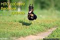 Нажмите на изображение для увеличения.

Название:	1.jpg
Просмотров:	1064
Размер:	60.1 Кб
ID:	3563085