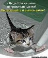 Нажмите на изображение для увеличения.

Название:	3.jpg
Просмотров:	1029
Размер:	72.9 Кб
ID:	3563087