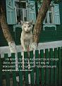 Нажмите на изображение для увеличения.

Название:	7.jpg
Просмотров:	1024
Размер:	76.5 Кб
ID:	3563091