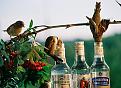 Нажмите на изображение для увеличения.

Название:	3.jpg
Просмотров:	1068
Размер:	74.7 Кб
ID:	3563112